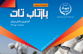 شماره ۲۰