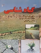 گیاه شناسی