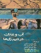 آب و غلات در دیمزارها