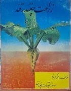 زراعت چغندرقند