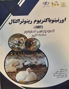 اورنیتوباکتریوم رینوتراکئال (ORT) تهدید پنهان و خسارت‌بار صنعت طیور
