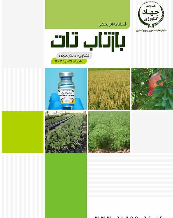 فصلنامه بازتاب تات