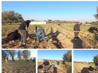 آموزشهای وابسته