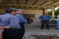 آموزشهای استاندارد مهارتی