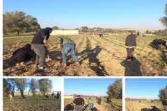 آموزشهای وابسته