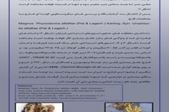 بخش تحقیقات گیاهپزشکی