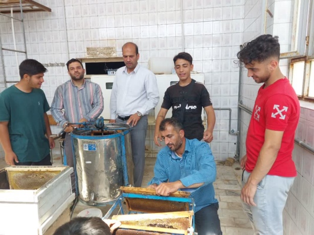 عکس