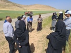 کارگاه آموزشی مبارزه با پور ه‌های سن گندم در تالاندشت سرفیروزآباد برگزار شد