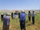 کارگاه آموزشی مبارزه با پور ه‌های سن گندم در تالاندشت سرفیروزآباد برگزار شد