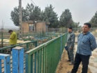 موفقیت محققان کرمانشاهی در افزایش ۵۰ درصدی تعداد زایش گوسفند نژاد سنجابی