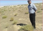 بررسی کیفیت گیاه عجوه به عنوان منبع علوفه مقاوم به خشکی و شوری در مراتع استان