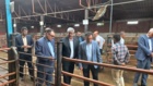 بازدید رئیس مؤسسه تحقیقات علوم دامی کشور از طرح‌های تحقیقاتی علوم دامی استان گلستان۲