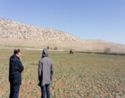 تولید هسته‌های اولیه بذری برای تأمین امنیت غذایی متوقف نشده است