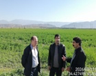 بازدید رئیس مرکز تحقیقات کشاورزی کرمانشاه از مرکز آموزش سرپل‌ذهاب و ایستگاه اسلام‌آباد غرب