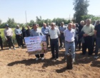 برگزاری روز مزرعه در ایستگاه تحقیقات کشاورزی ماهیدشت