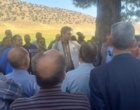 برگزاری دومین روز «انتقال یافته‌های تحقیقاتی» گندم آبی در ایستگاه تحقیقات کشاورزی اسلام‌آباد غرب