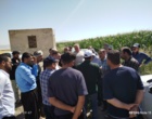بررسی تخصصی و میدانی مشکلات مزارع ذرت شهرستان روانسر با حضور تیم کارشناسی