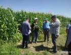 بررسی تخصصی و میدانی مشکلات مزارع ذرت شهرستان روانسر با حضور تیم کارشناسی