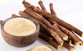 افزایش ۲۷ درصدی ماده مؤثره گیاه دارویی شیرین بیان با استفاده از آب شور
