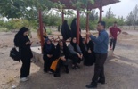 مهارت‌آموزی هنرجویان کشاورزی با دوره «تولید نهال و جنگل‌کاری» در فصل تابستان