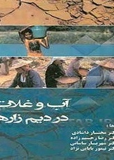 آب و غلات در دیم زارها