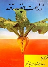 زراعت چغندرقند