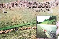 ‏‫گیاه‌شناسی