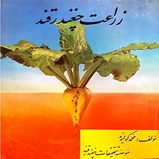 زراعت چغندرقند