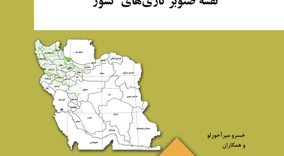 تهیه نخستین نقشه جامع صنوبرکاری‌های کشور با مقیاس ۱:۲۵۰ هزار