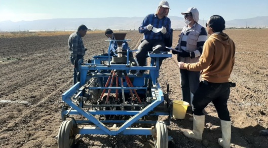 عملیات کاشت آزمایشات گندم نان و دوروم در سال زراعی ۱۴۰۴–۱۴۰۵ آغاز شد