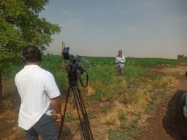 در پی کاهش بارش‌ها و اهمیت حفظ منابع آبی، بهره‌برداران کشاورزی کرمانشاه با روش‌های جدید آبیاری آشنا شدند.