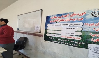 آموزش بهره‌برداران درباره استفاده از بقایای محصولات کشاورزی در تغذیه دام