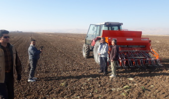 کاشت لاین‌های امیدبخش گندم نان و دوروم در روستای تپه زرد روانسر