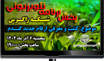 کاشت لاین‌های امیدبخش گندم و ضبط برنامه رویش در مزرعه کشاورز پیشرو روستای تپه‌زرد