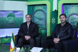 توسعه باغات زیتون؛ راهکاری پایدار برای کشاورزی استان کرمانشاه