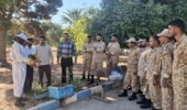 برگزاری کلاس عملی دوره آموزش پرورش زنبور عسل در سرپل ذهاب؛ مهارت‌آموزی برای آینده شغلی سربازان