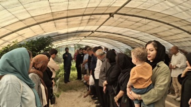 برگزاری دوره آموزشی «احداث و مدیریت گلخانه» در سرپل‌ذهاب؛ گامی در راستای رونق اشتغال و اقتصاد کشاورزی