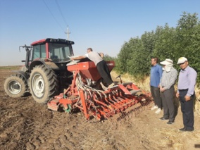 آغاز کشتهای پاییزه با کاشت کلزا در ایستگاههای مهرگان و اسلامآباد کرمانشاه آغاز شد