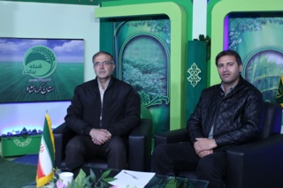 توسعه باغات زیتون؛ راهکاری پایدار برای کشاورزی استان کرمانشاه