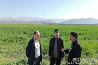 بازدید رئیس مرکز تحقیقات کشاورزی کرمانشاه از مرکز آموزش سرپل‌ذهاب و ایستگاه اسلام‌آباد غرب