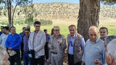 برگزاری دومین روز «انتقال یافته‌های تحقیقاتی» گندم آبی در ایستگاه تحقیقات کشاورزی اسلام‌آباد غرب