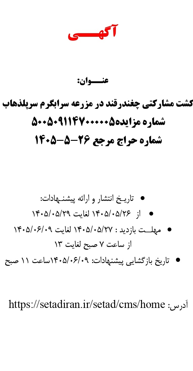 کشت مشارکتی چغندرقند در مزرعه سرابگرم سرپلذهاب